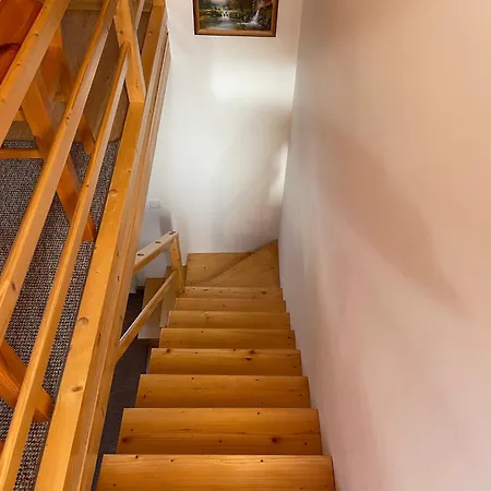 U Pajaka 아파트 *